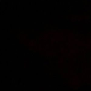 Meet your Posher, Shawn